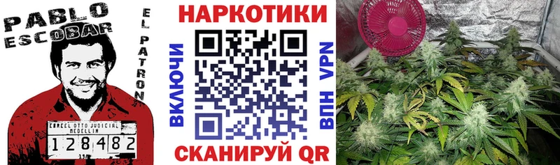 МАРИХУАНА Алейск