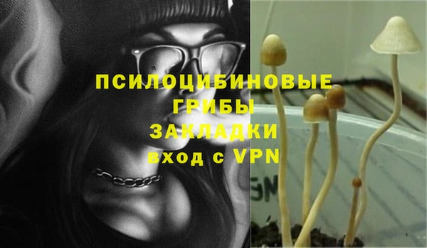 экстази Алексин