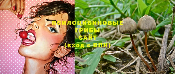 экстази Алексин