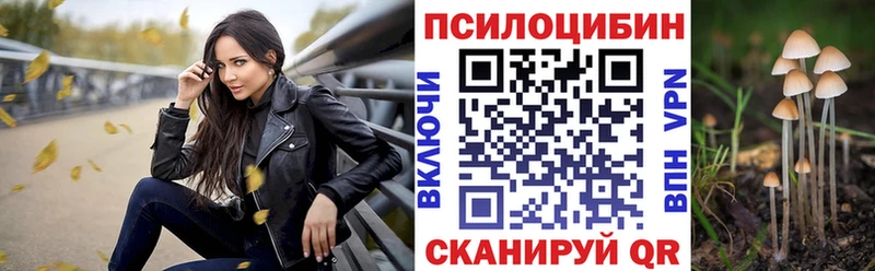 гидра зеркало  Алейск  площадка состав  купить  сайты  Псилоцибиновые грибы ЛСД 