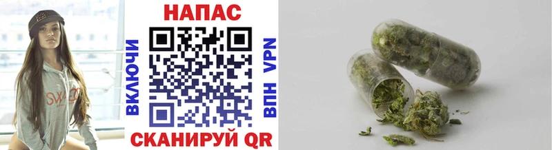 Канабис индика  omg сайт  Алейск  наркотики 